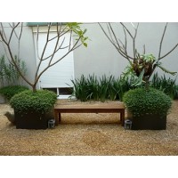AMBIENTE PEDRISCO